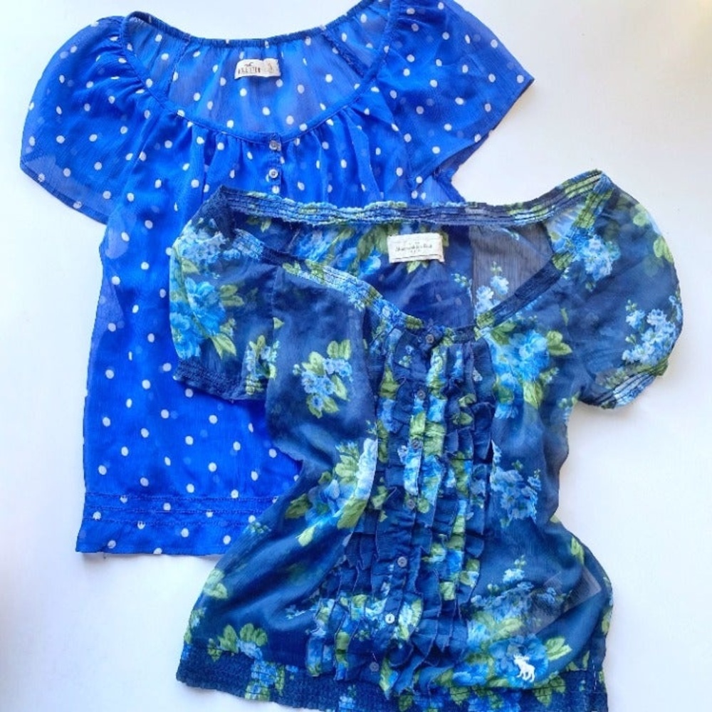 Cottagecore Blue Sheer Top Lot